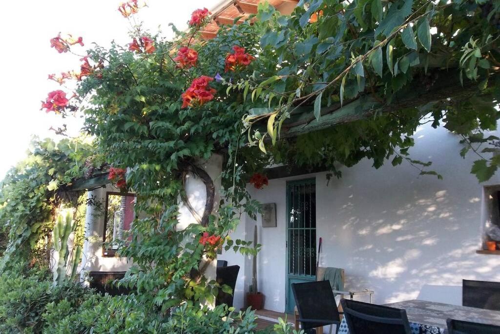 Cortijo Con Encanto Villa Cullera Kültér fotó